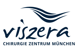 Viszera Logo