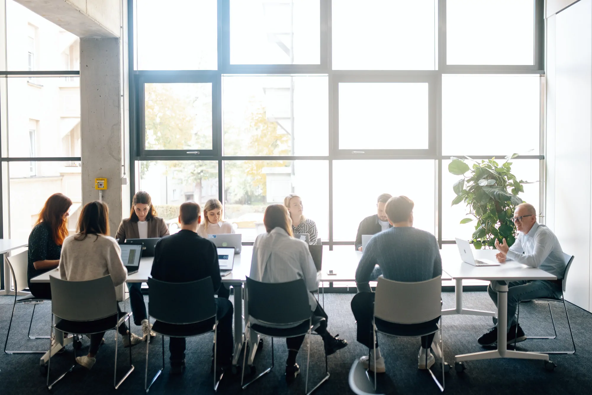 Das Docleads-Team bei einer Besprechung.